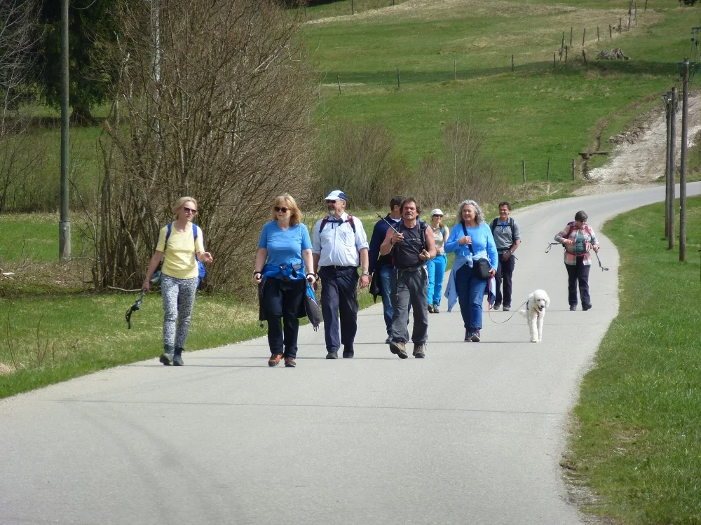 Die Gruppe ist auf dem Rückweg von der Rohrkopfhütte  zum unteren Parkplatz Drehhütte. | © DAV Augsburg Unterwegsgruppe
