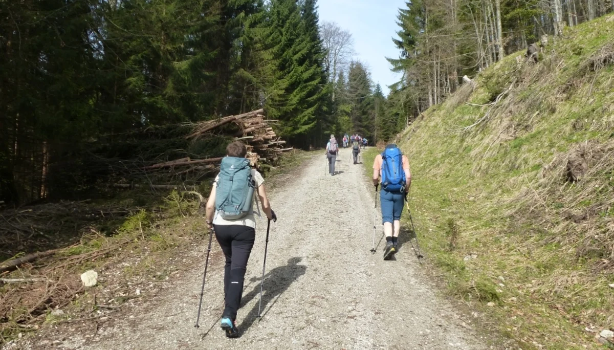 Die Gruppe startet auf einem Forstweg. | © DAV Augsburg Unterwegsgruppe Gotlind