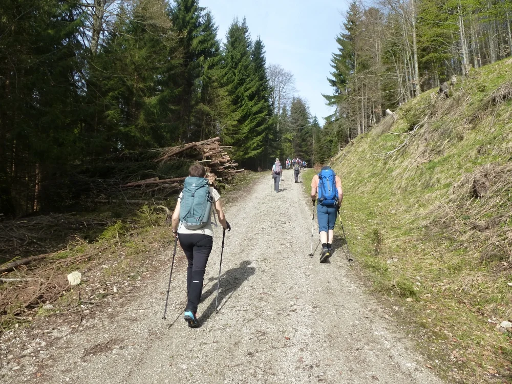 Die Gruppe startet auf einem Forstweg. | © DAV Augsburg Unterwegsgruppe Gotlind