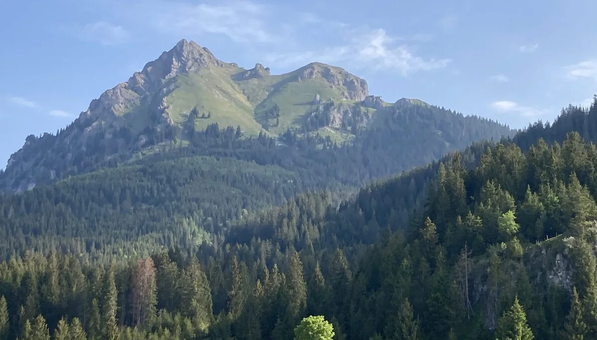 Vom Ausgangspunkt ist der Aggenstein zu sehen. | © DAV Augsburg Unterwegsgruppe Silke