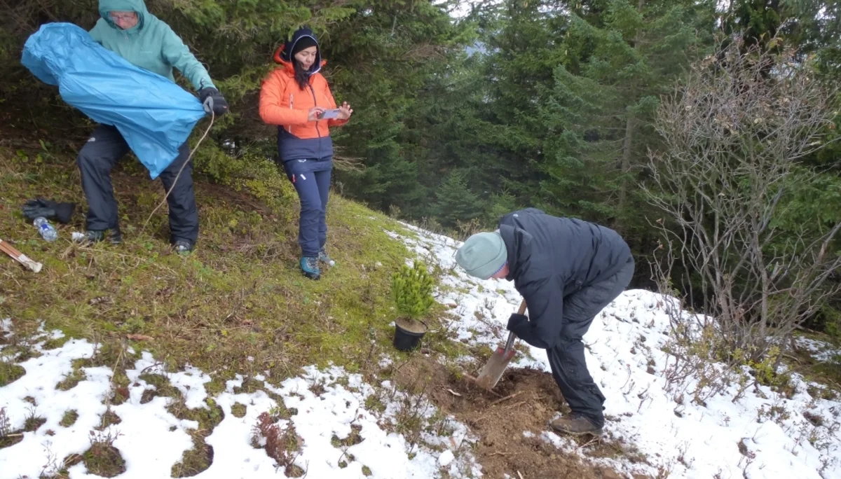 Gerd gräbt das Loch für den Baum. | © DAV Augsburg Unterwegsgruppe Gotlind