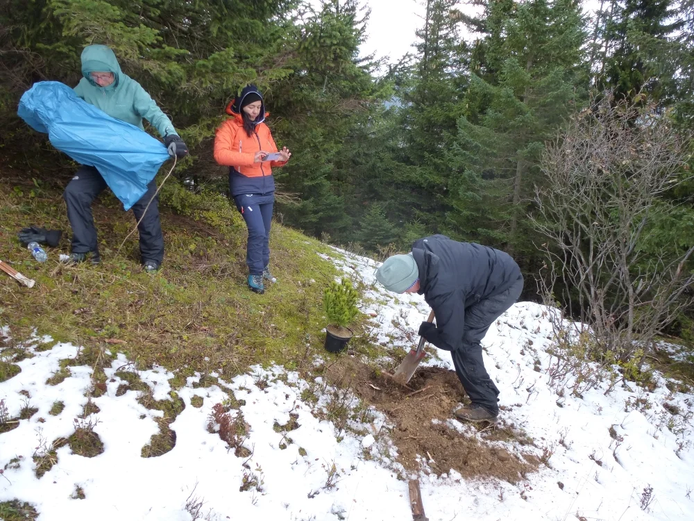 Gerd gräbt das Loch für den Baum. | © DAV Augsburg Unterwegsgruppe Gotlind
