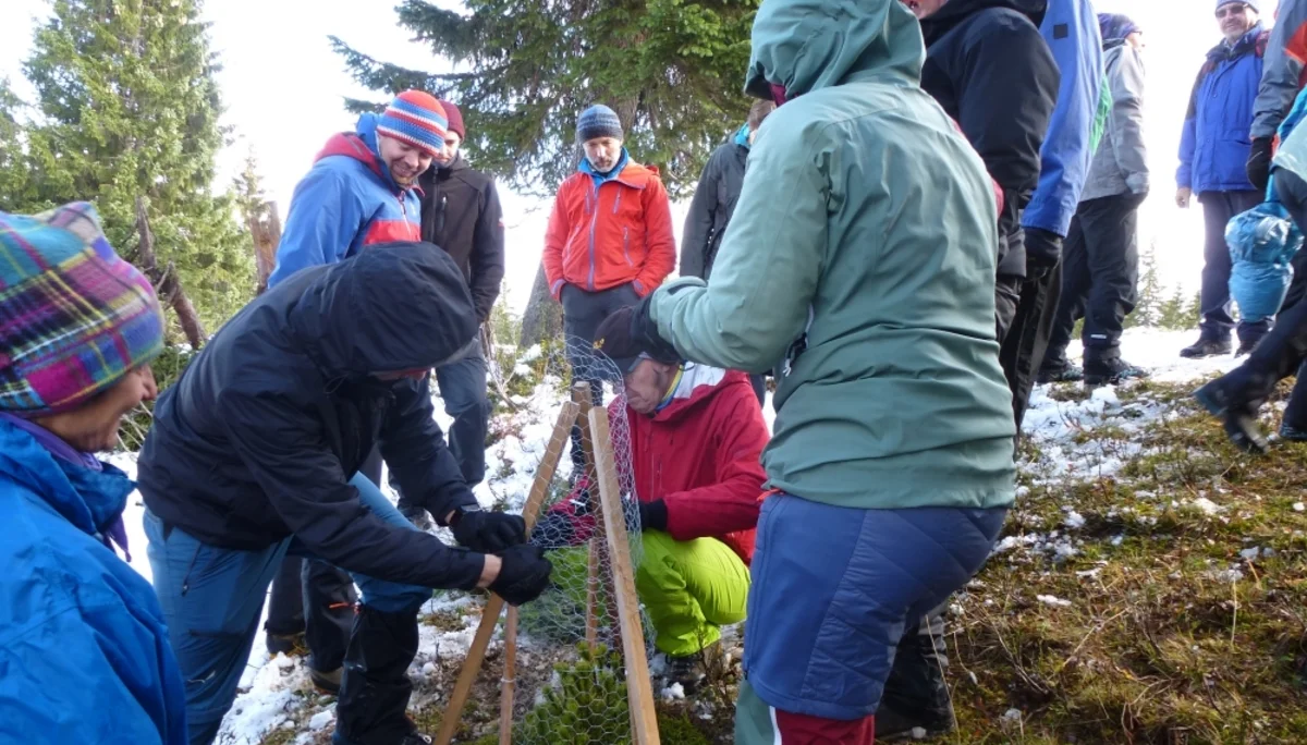So ist der Baum gut geschützt. | © DAV Augsburg Unterwegsgruppe Gotlind