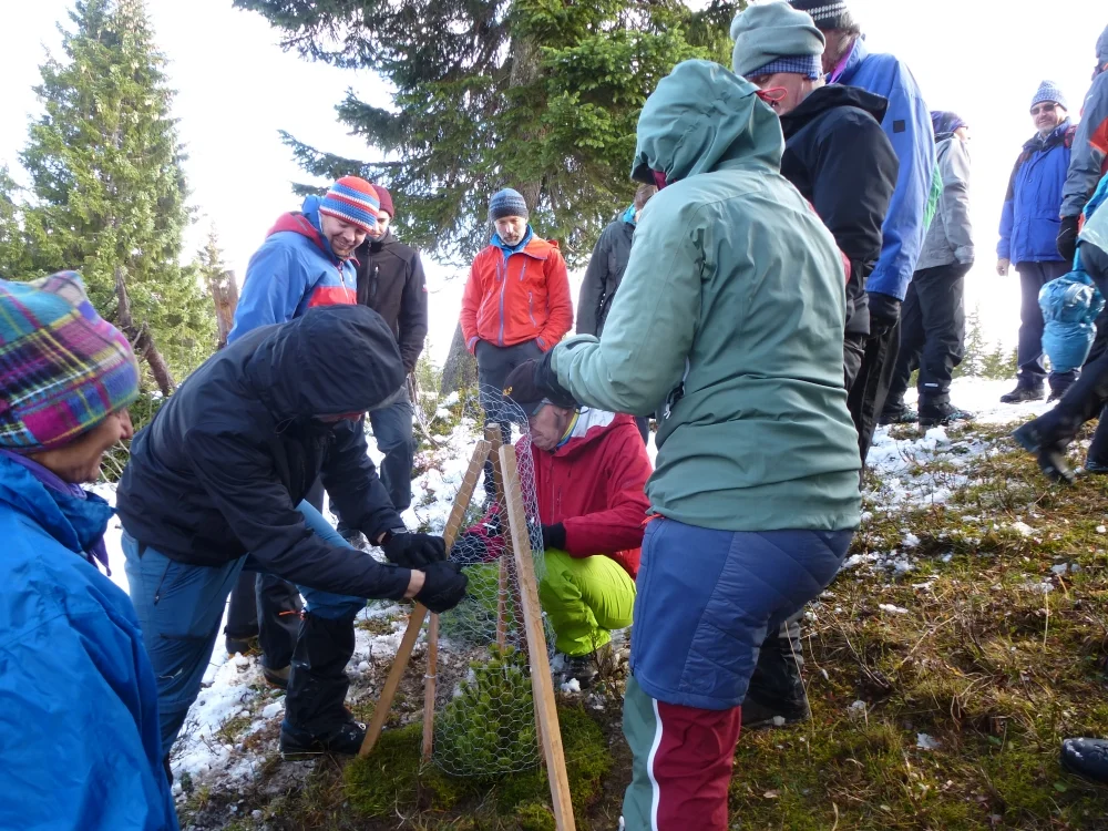 So ist der Baum gut geschützt. | © DAV Augsburg Unterwegsgruppe Gotlind