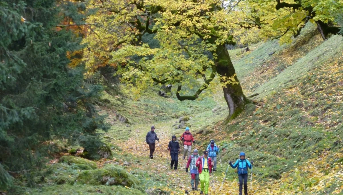 Die Gruppe beim Abstieg vom Tennenmooskopf. | © DAV Augsburg Unterwegsgruppe Gotlind
