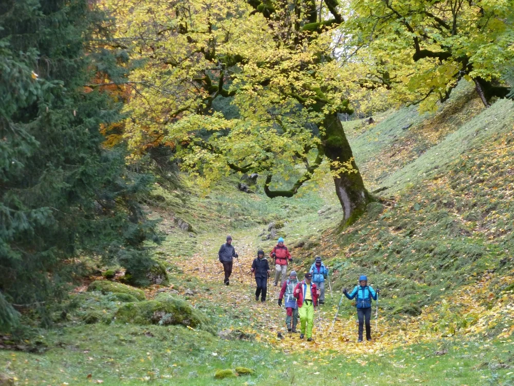 Die Gruppe beim Abstieg vom Tennenmooskopf. | © DAV Augsburg Unterwegsgruppe Gotlind