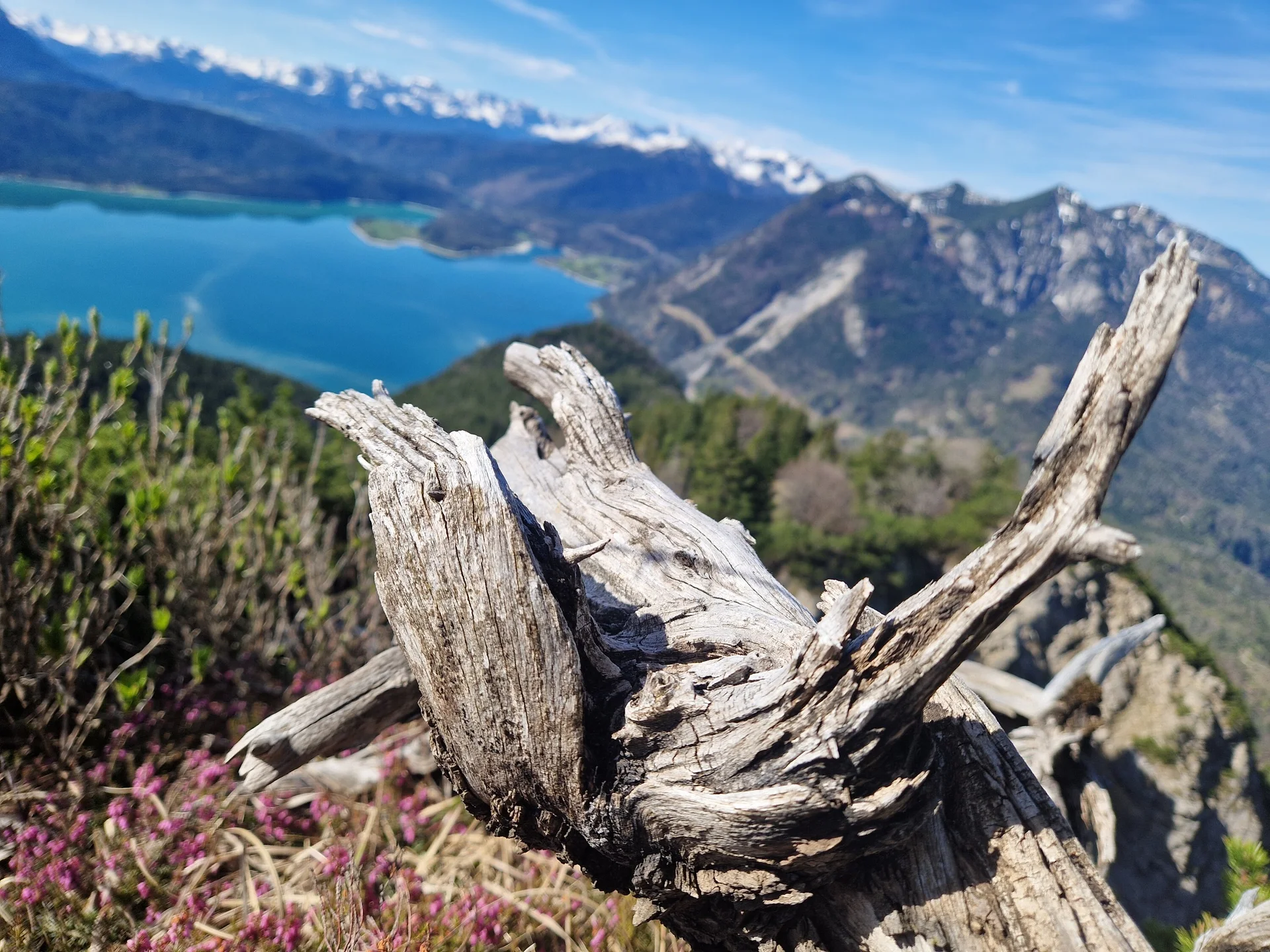 Wurzeln und Berge | © Özlem Akar