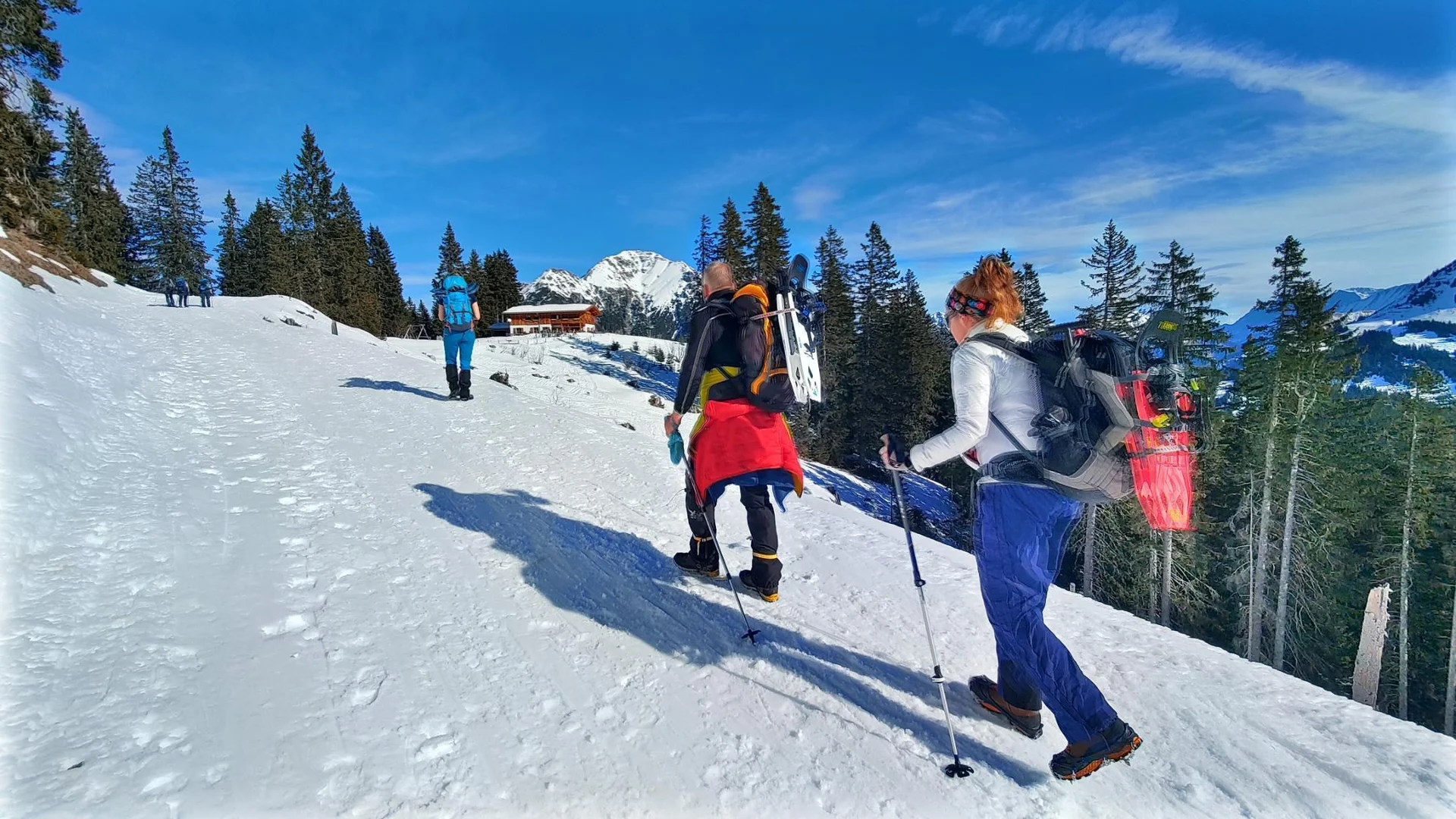 Ehenbichler Alm | © Gerd