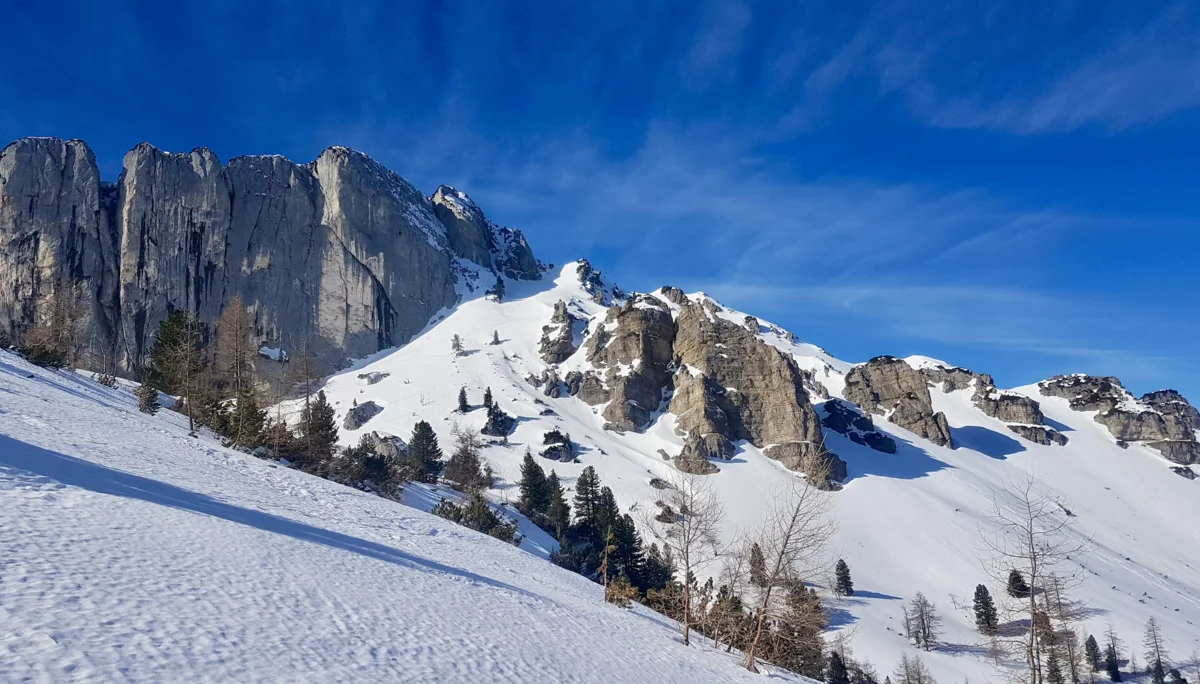 © Tobias Petrikowski