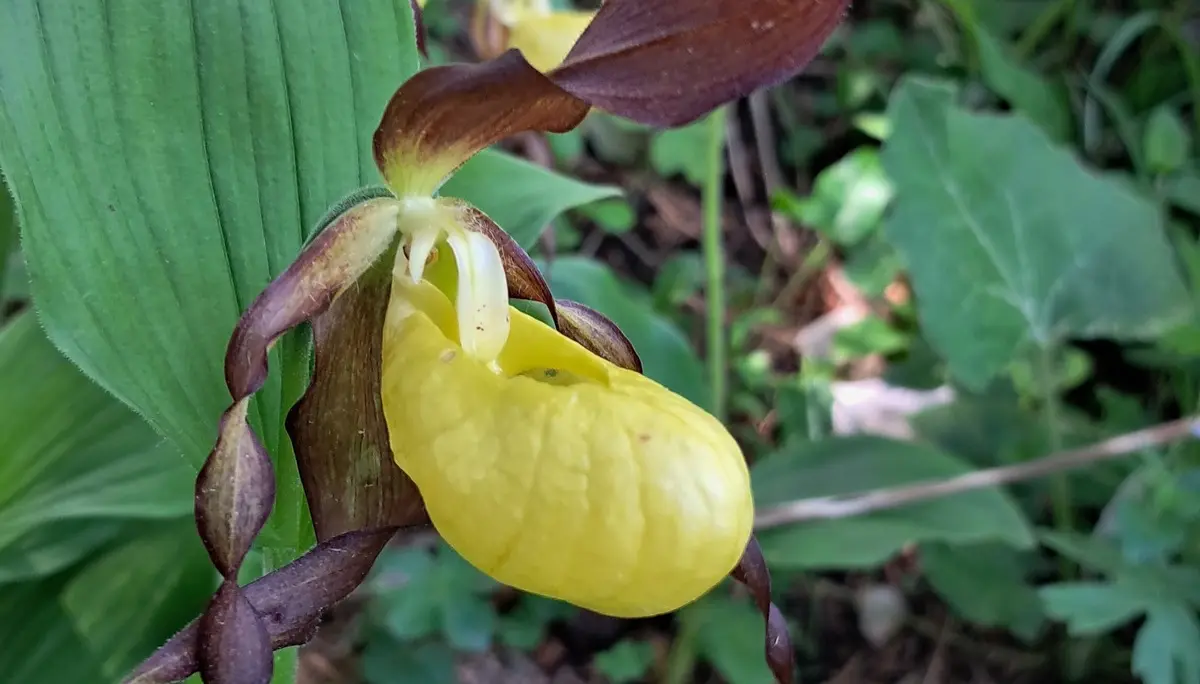 © Sektion Augsburg des DAV e.V.