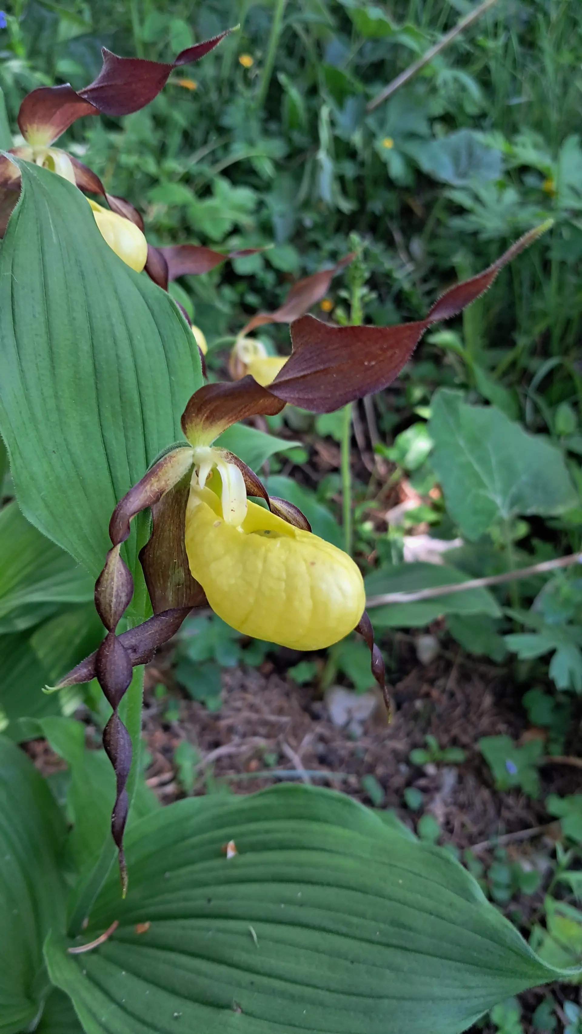 © Sektion Augsburg des DAV e.V.