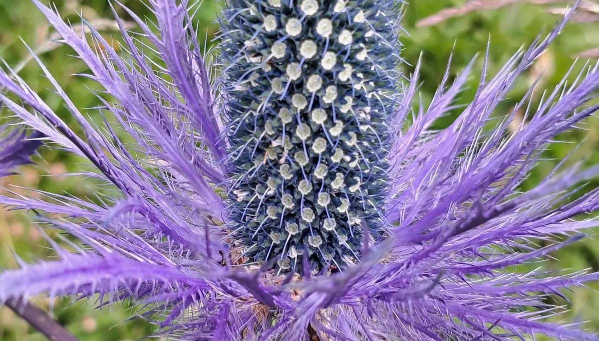 © Sektion Augsburg des DAV e.V.