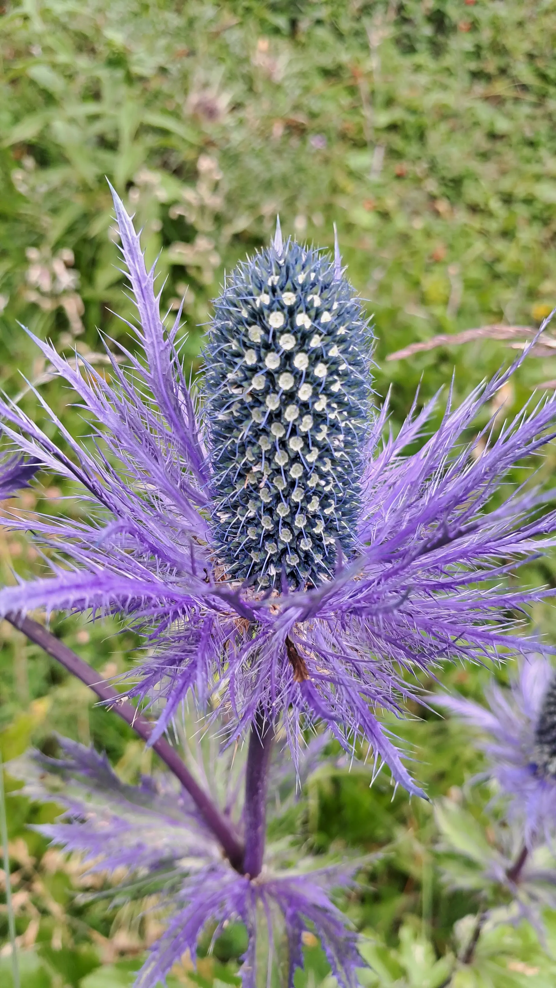 © Sektion Augsburg des DAV e.V.