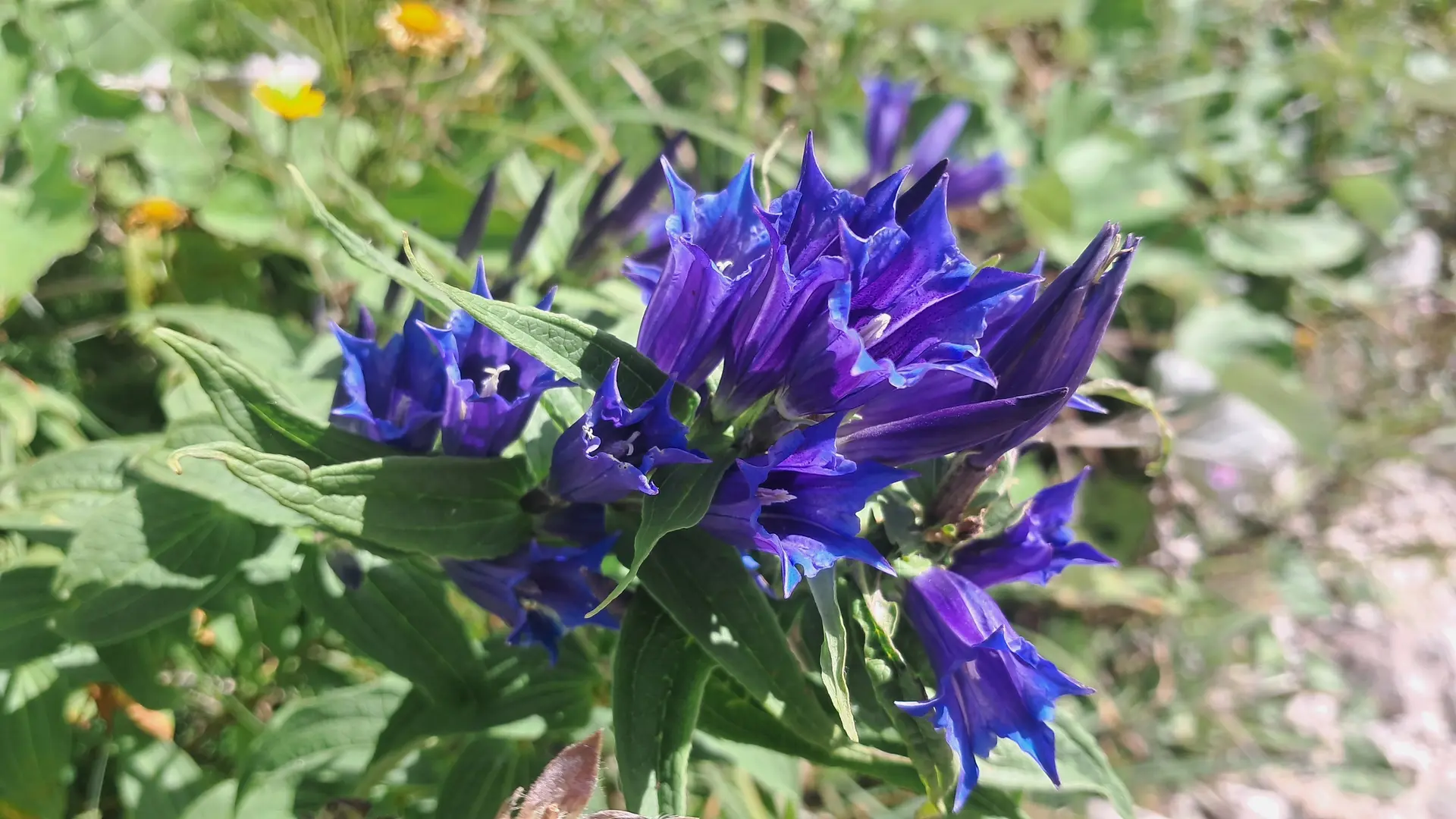 © Sektion Augsburg des DAV e.V.