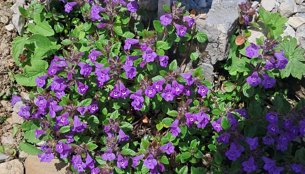 © Sektion Augsburg des DAV e.V.