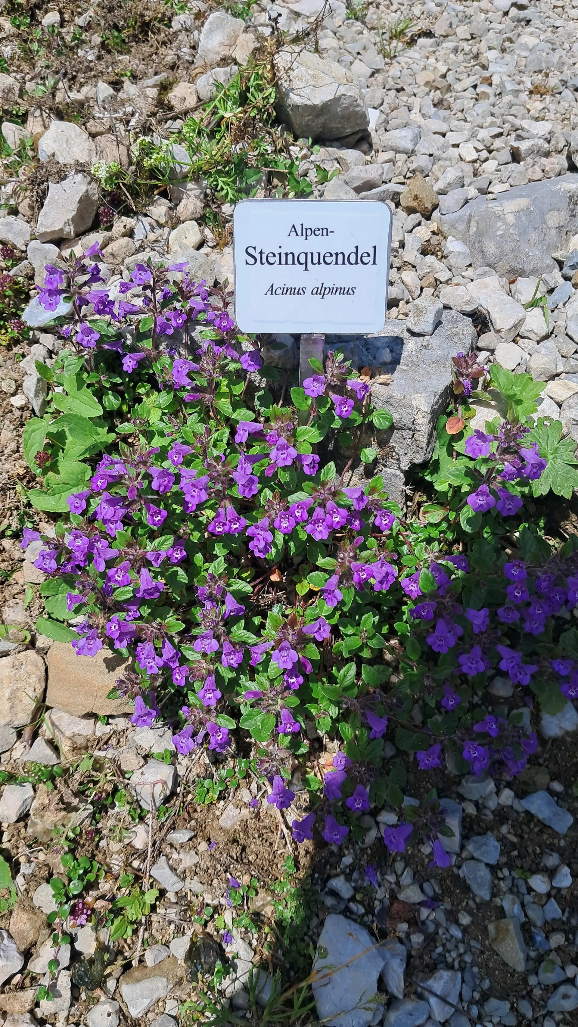 © Sektion Augsburg des DAV e.V.