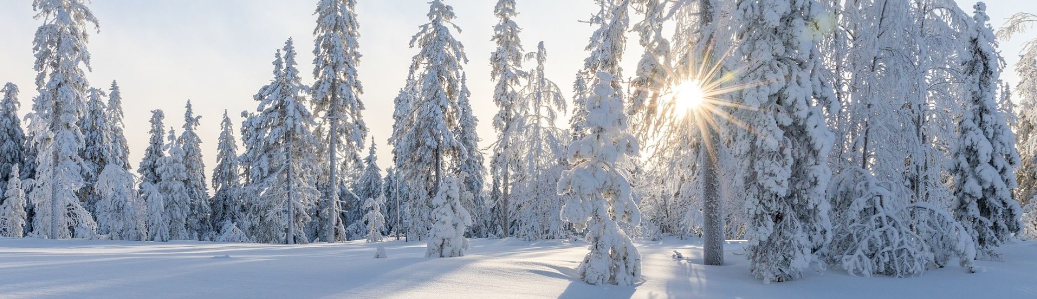 Winterlandschaft | © pixabay/Sanna