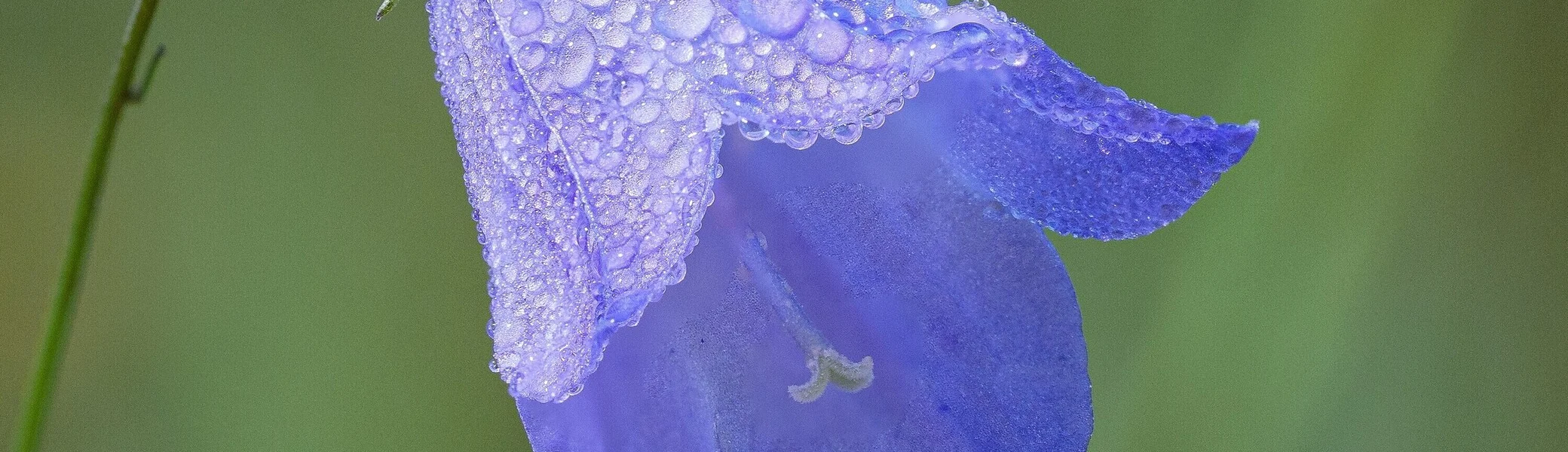 © DAV Augsburg/Anton Hamm