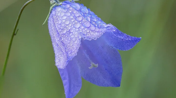 © DAV Augsburg/Anton Hamm