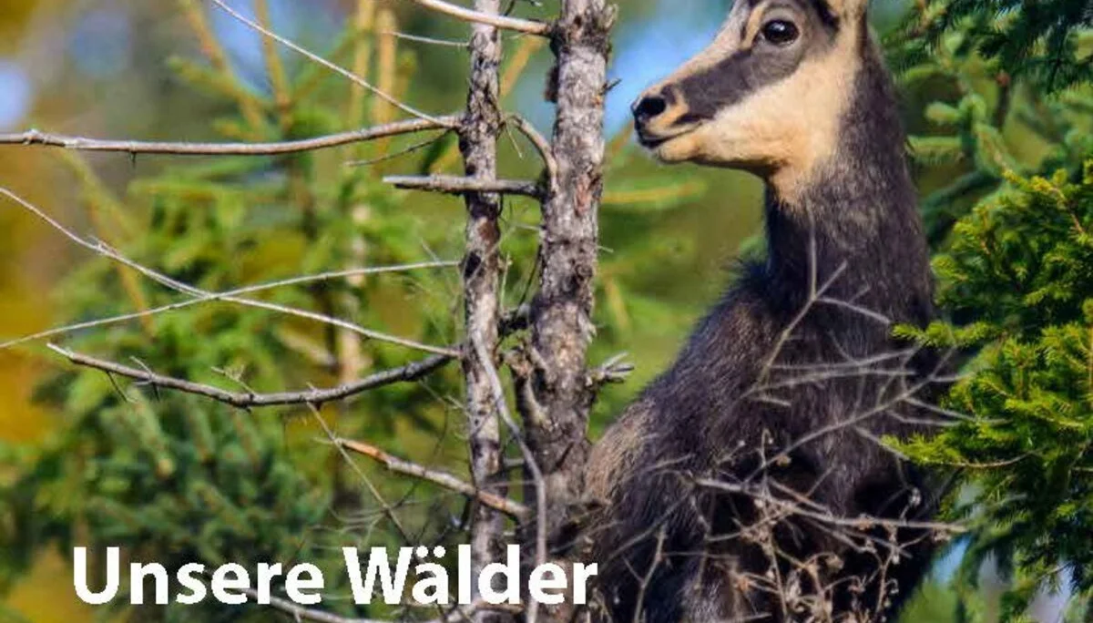 alpenblick 2022-2_Cover | © DAV Augsburg/Marco Ritter