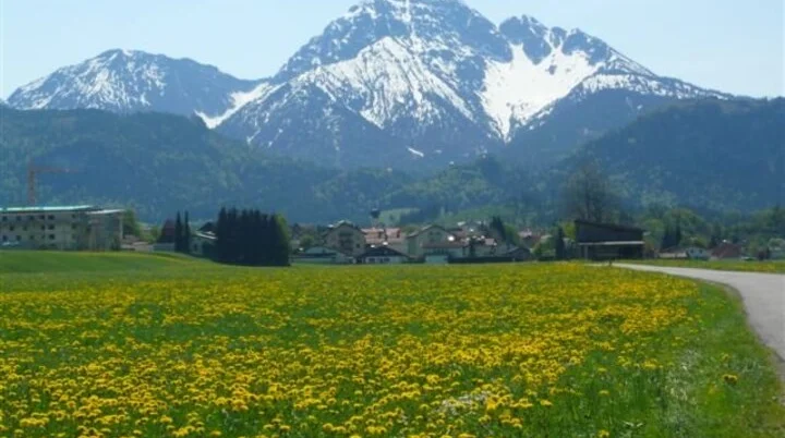 Thaneller | © Von grisu33 - grisu33, Copyrighted free use, https://commons.wikimedia.org/w/index.php?curid=52059671