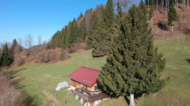 Moseralpe | © Gerd Schönwolf