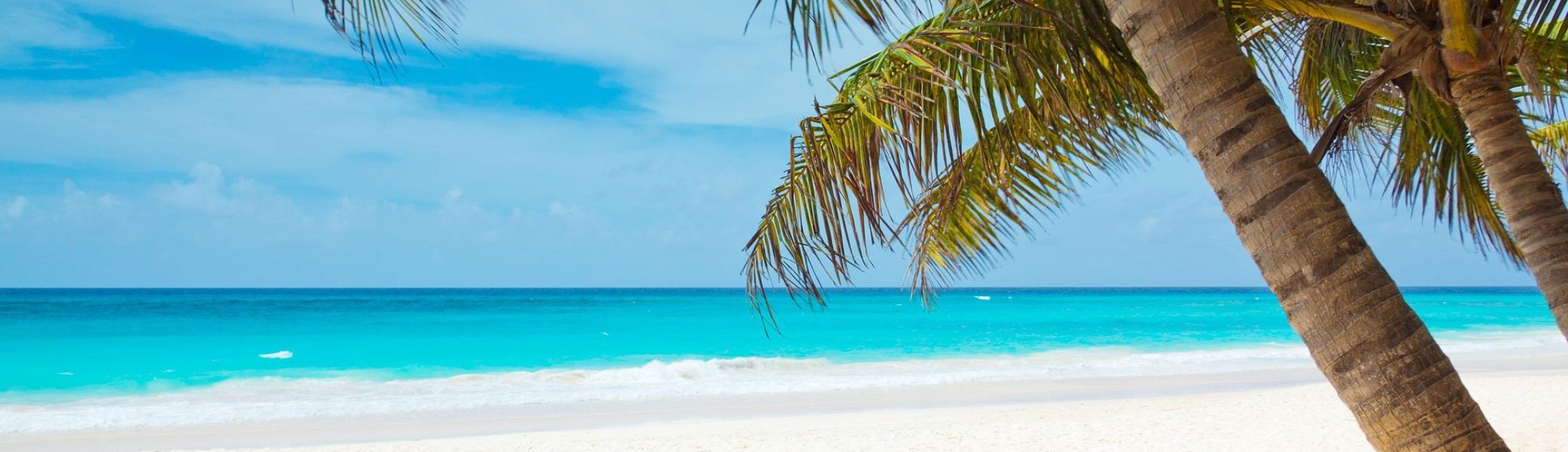 Strand mit weißem Sand und Palme im Vordergrund | © Pixabay