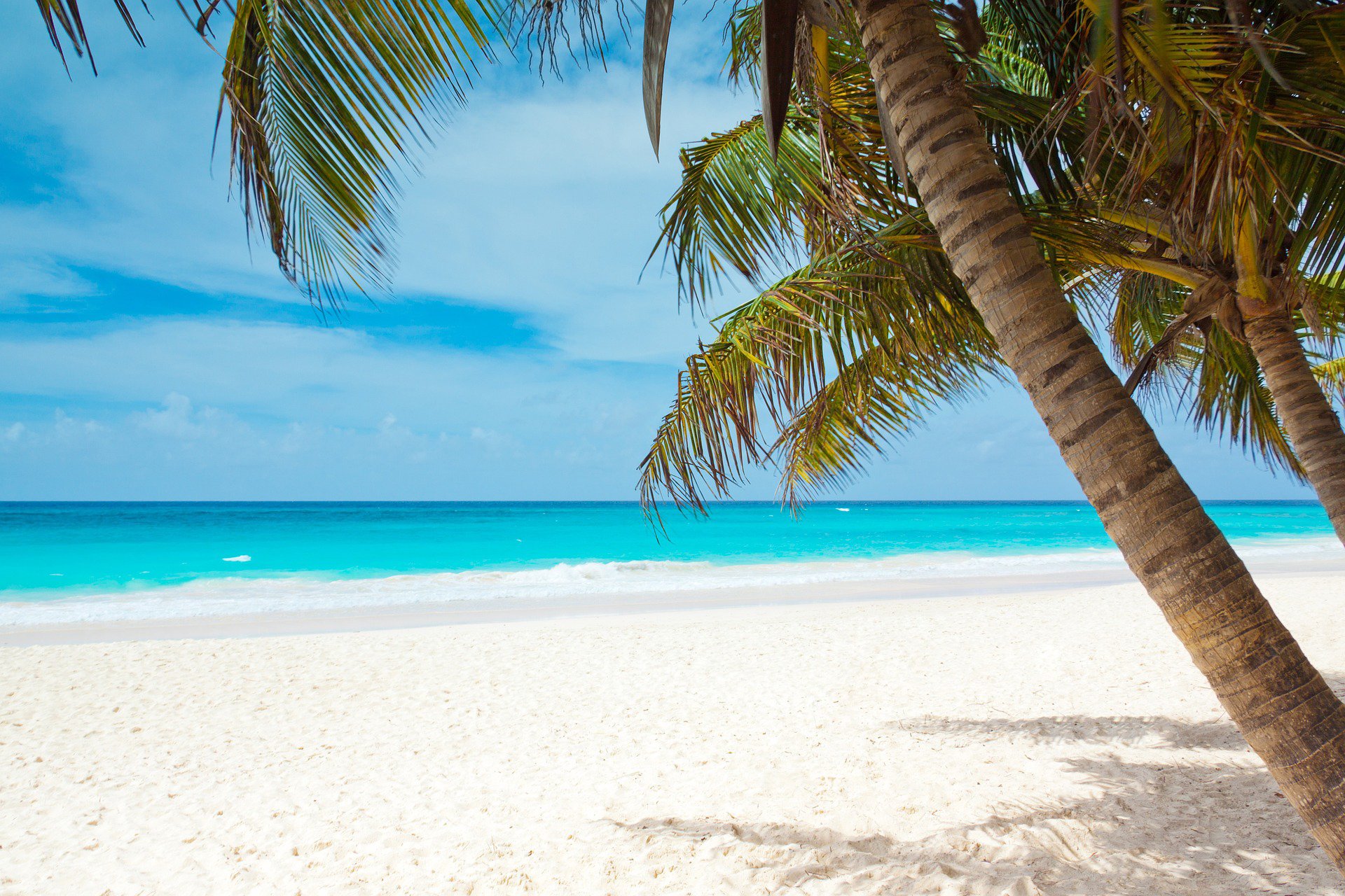 Strand mit weißem Sand und Palme im Vordergrund | © Pixabay