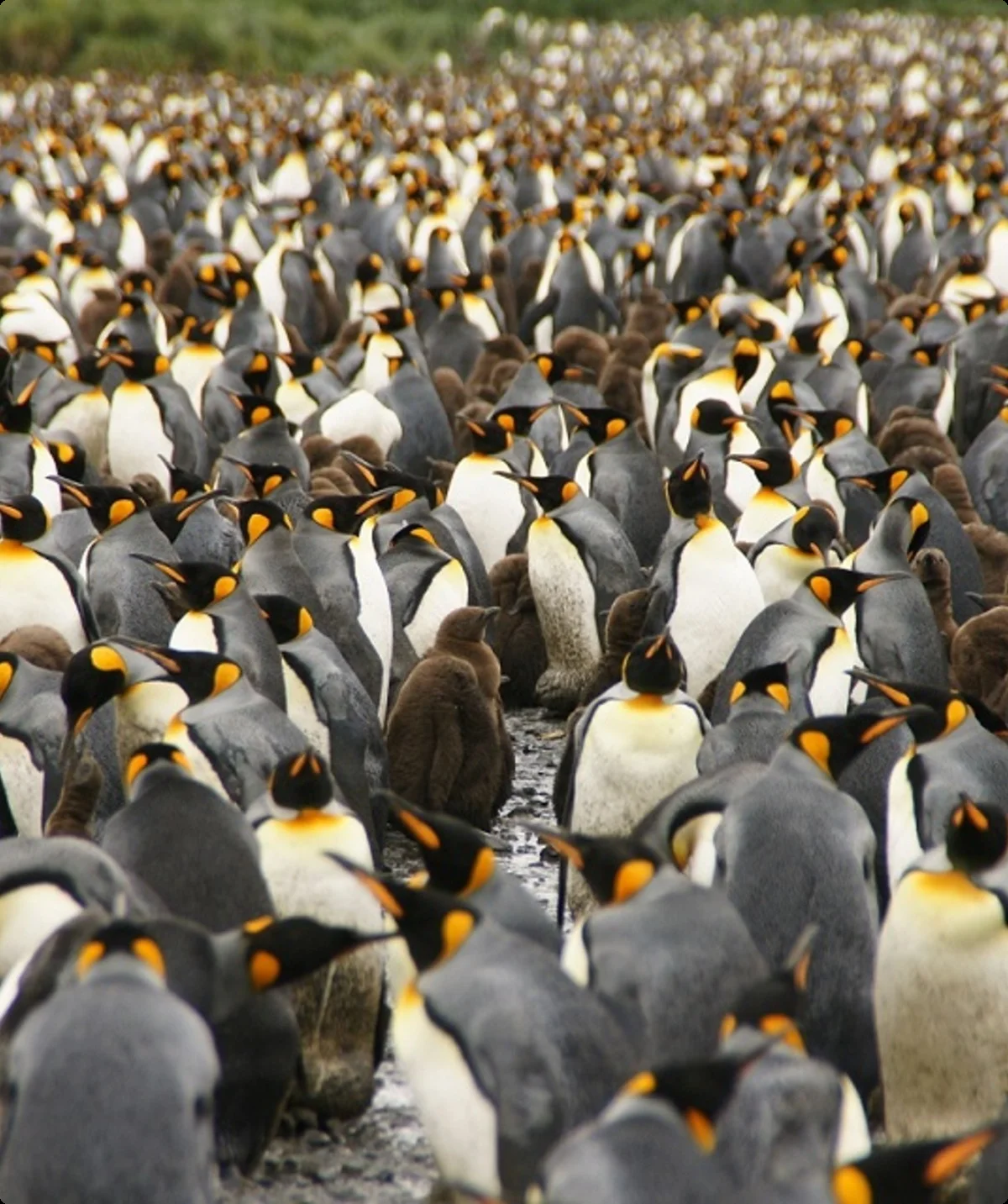 Südpolarmeer 7 | © Andreas Kreutz