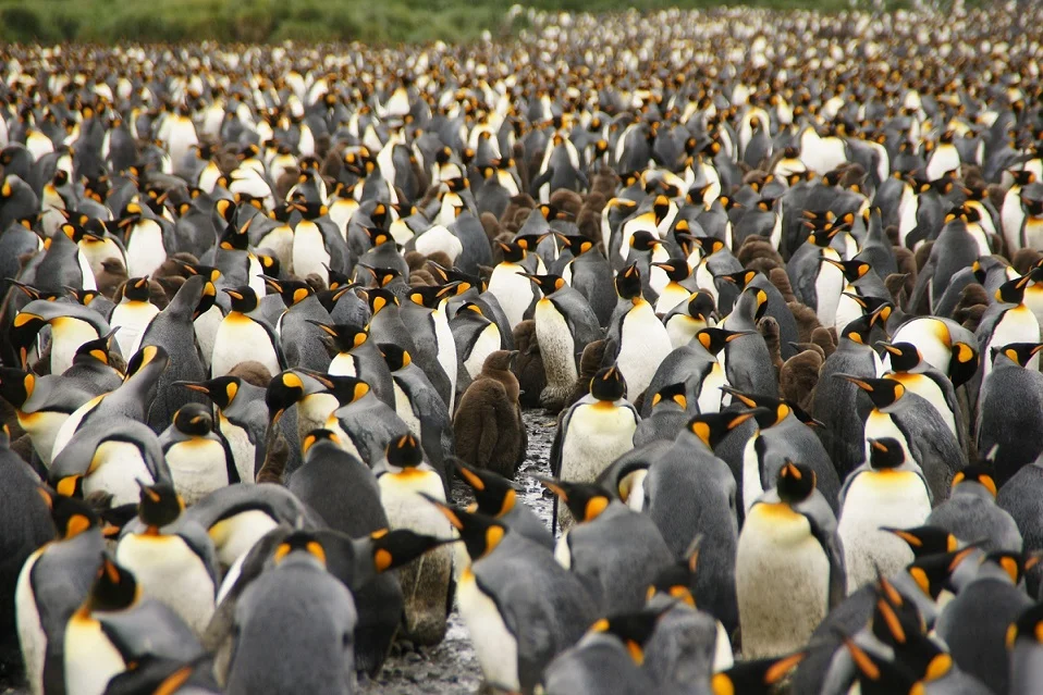 Südpolarmeer 7 | © Andreas Kreutz