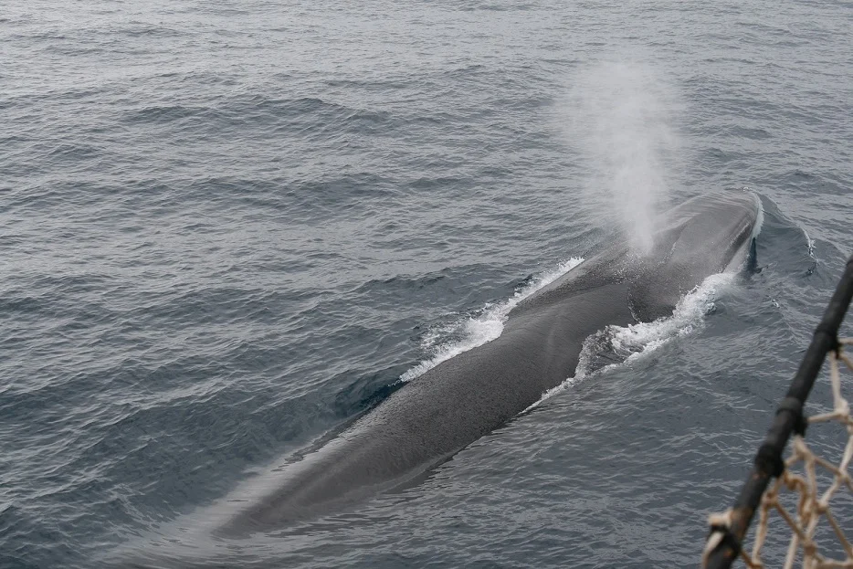 Südpolarmeer 10 | © Andreas Kreutz