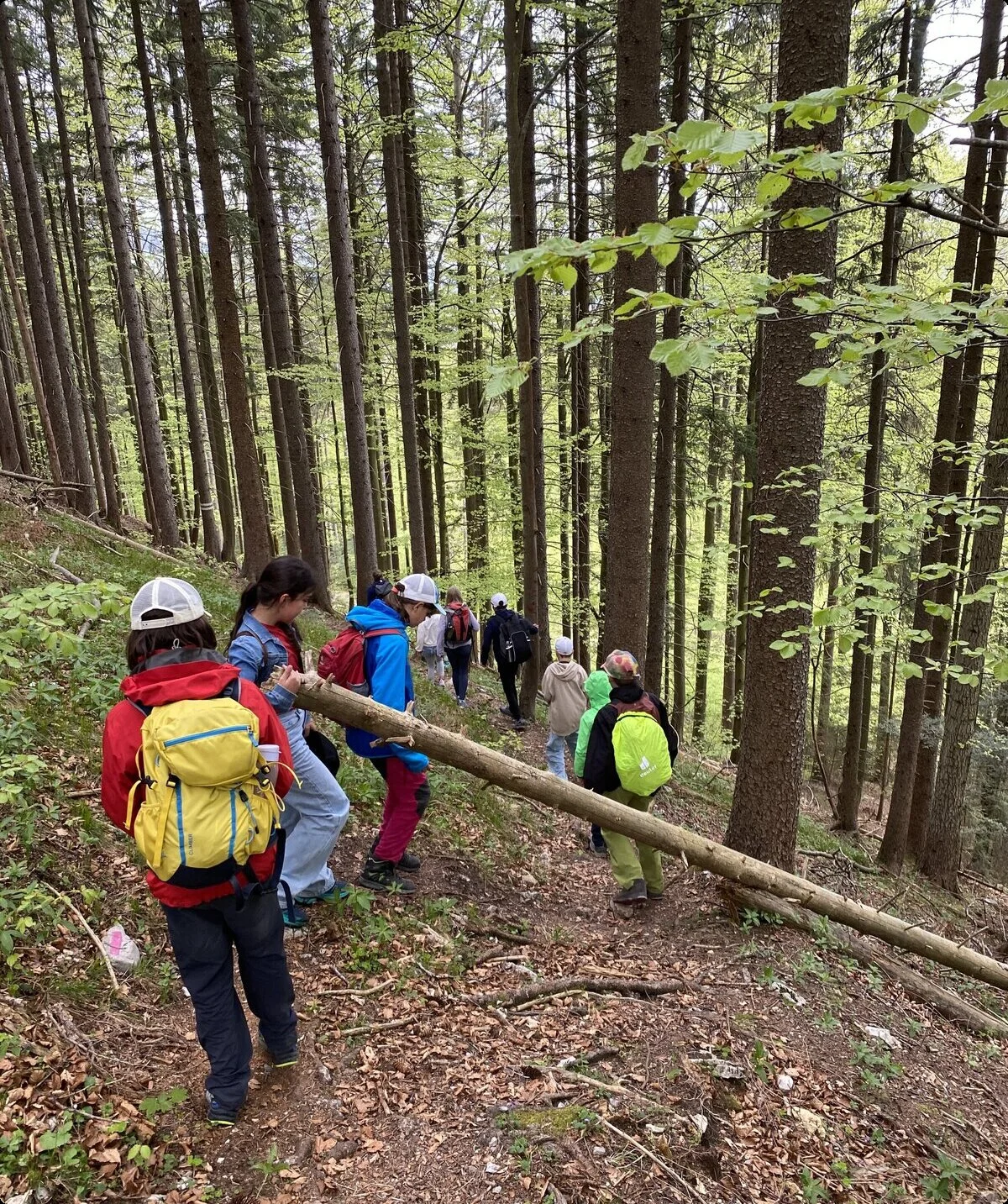 Wandern | © DAV Archiv