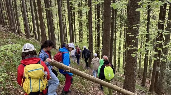 Wandern | © DAV Archiv