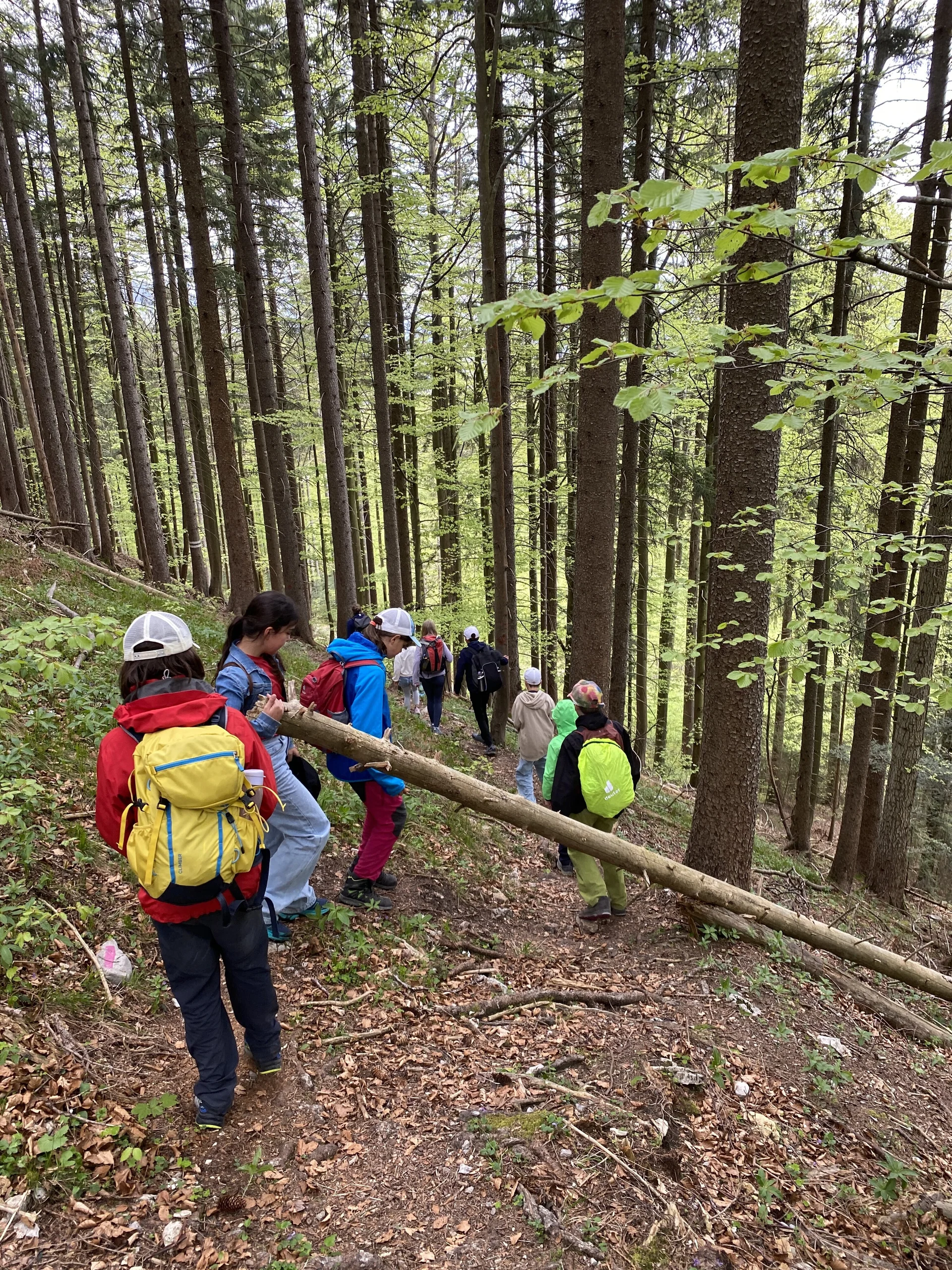 Wandern | © DAV Archiv