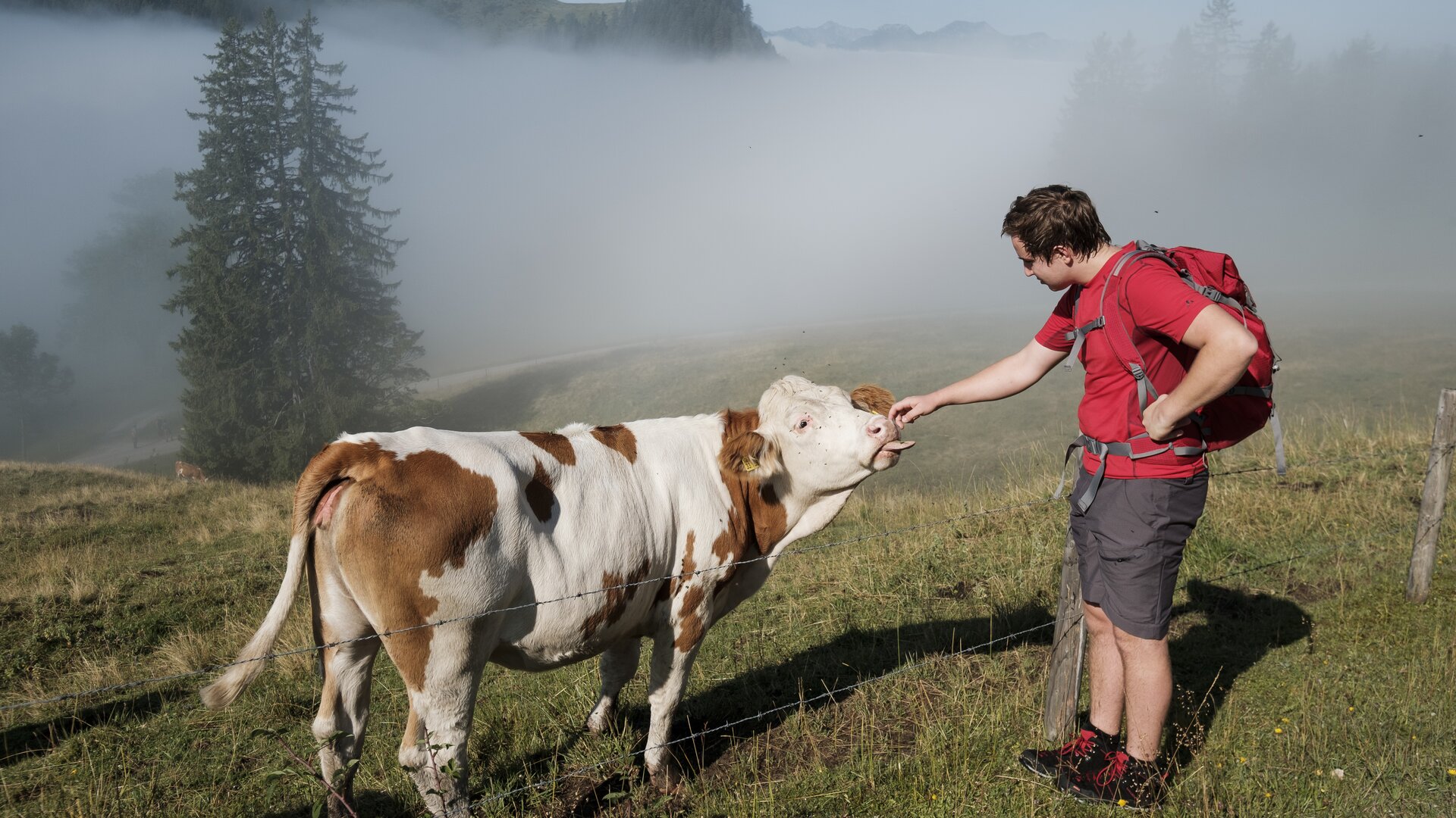 © DAV/Hans Herbig © DAV/Hans Herbig