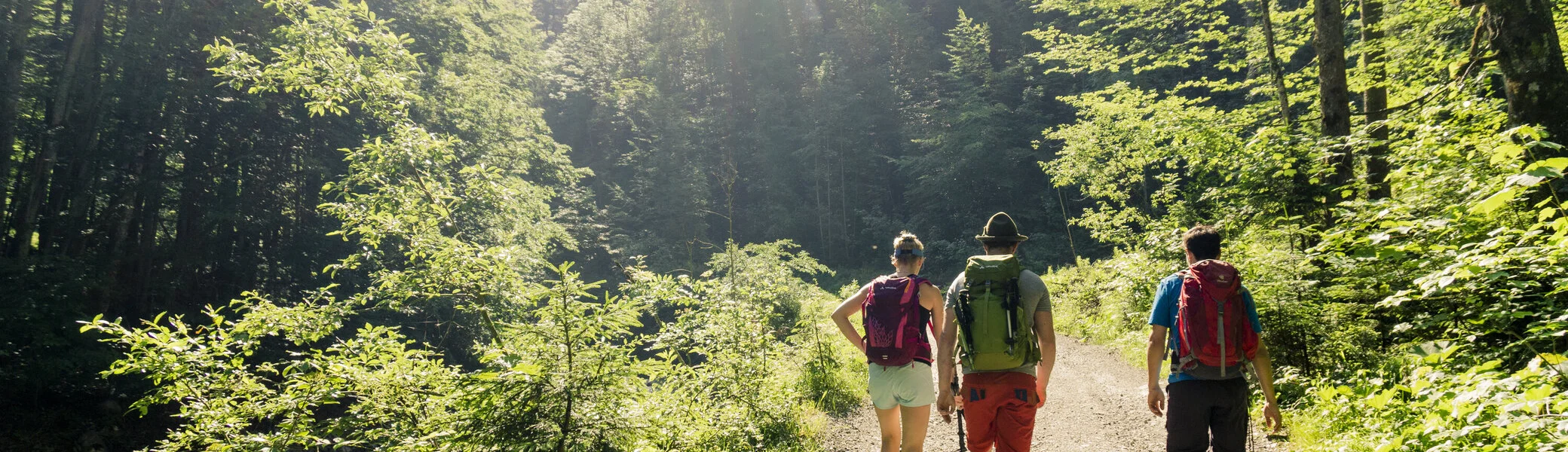 Drei Wanderer auf einem Bergpfad in den Chiemgauer Alpen | © DAV/Hans Herbig