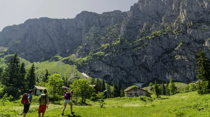 Drei Wanderer auf den grünen Berghängen der Chiemgauer Alpen | © DAV/Hans Herbig